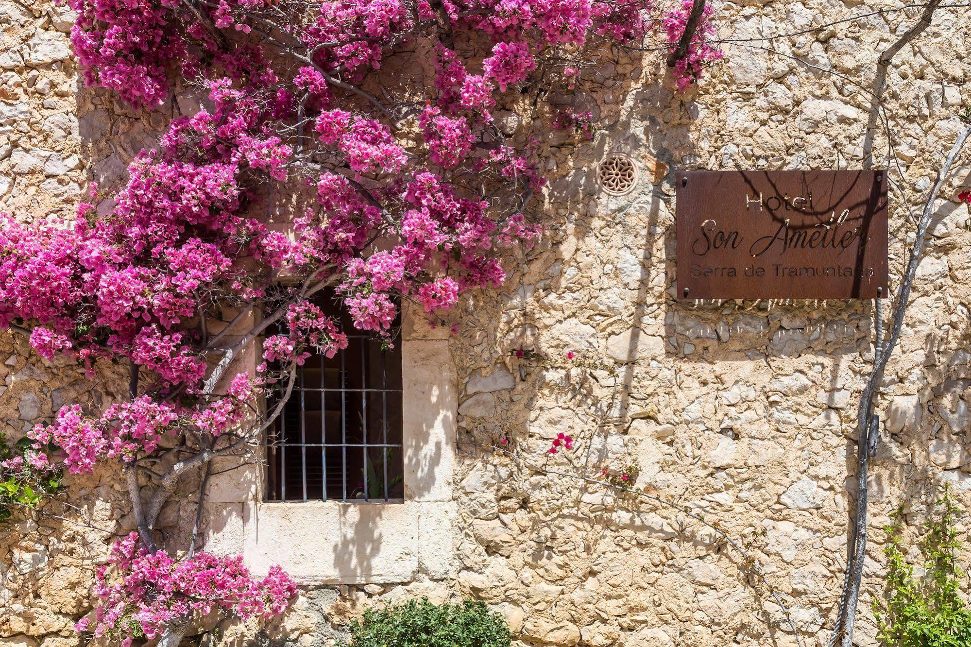 Finca Son Ametler Ξενοδοχείο Moscari Εξωτερικό φωτογραφία